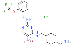 PKC-theta inhibitor hcl 2253640-49-0
